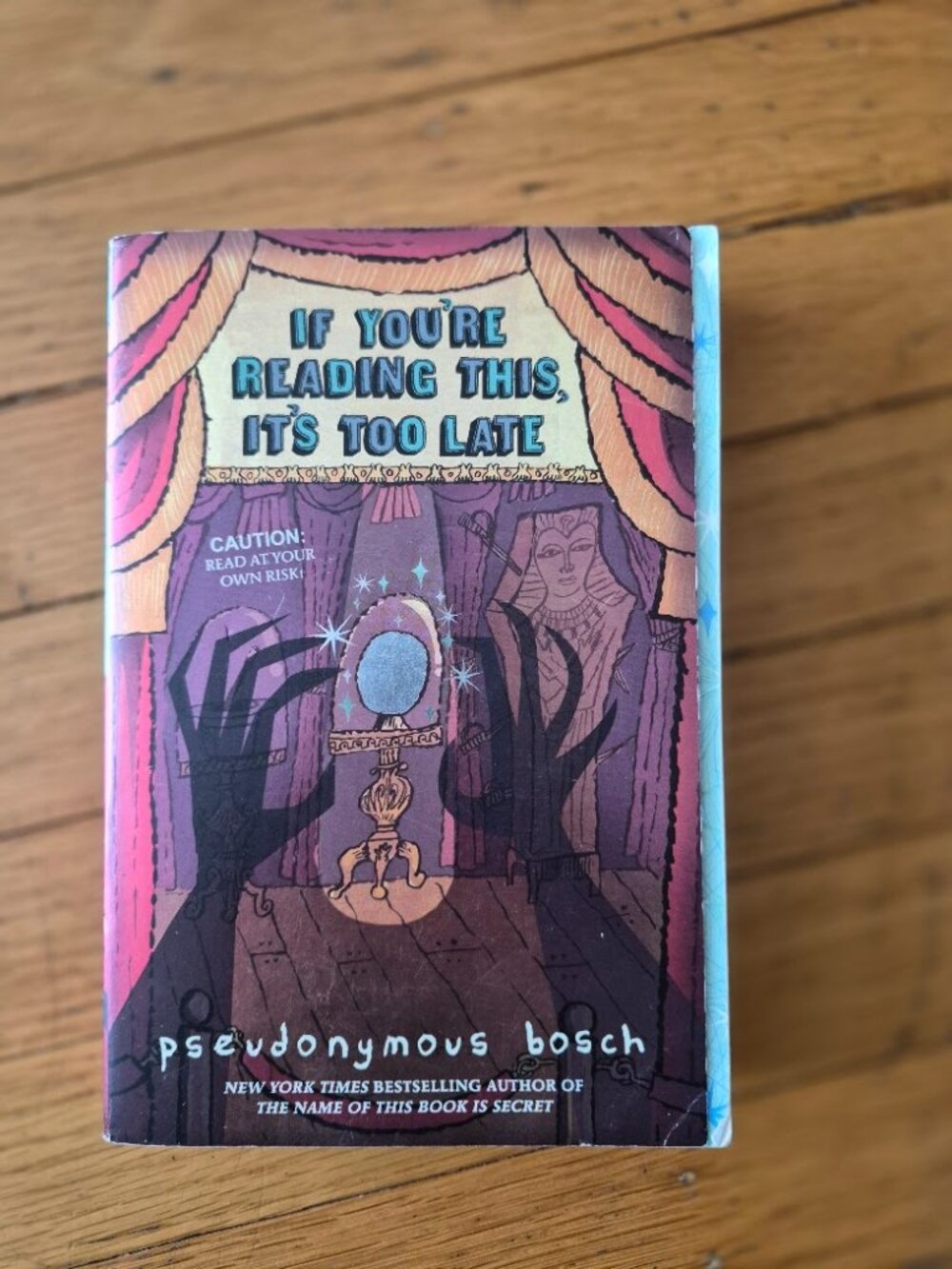 If You're Reading This, It's Too Late by Pseudonymous Bosch